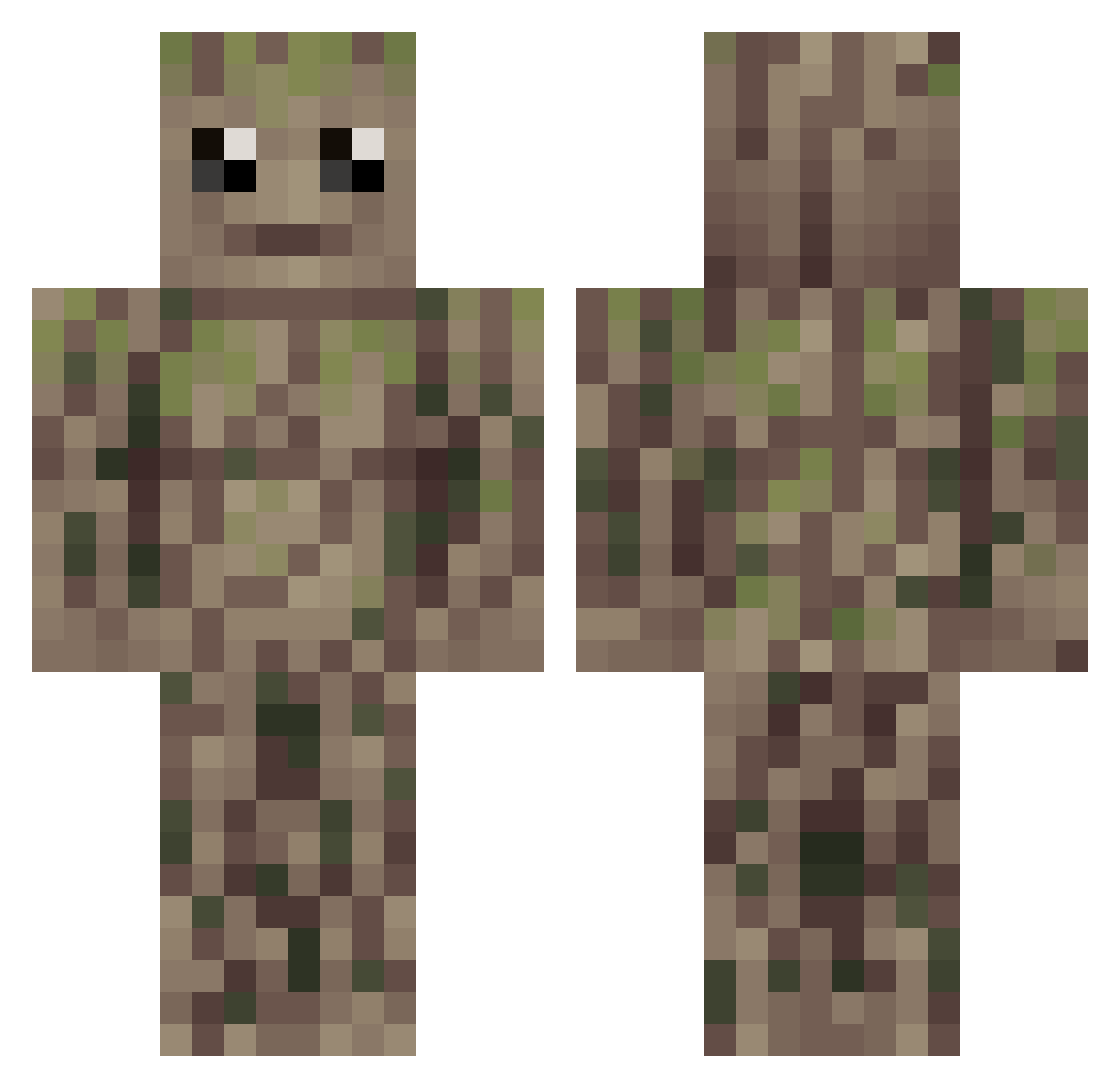 Team_Dizzi Minecraft skin, front and back view