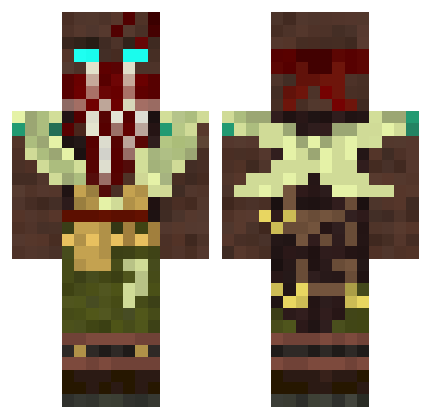 DerpyNarwhal_NL Minecraft skin, front and back view