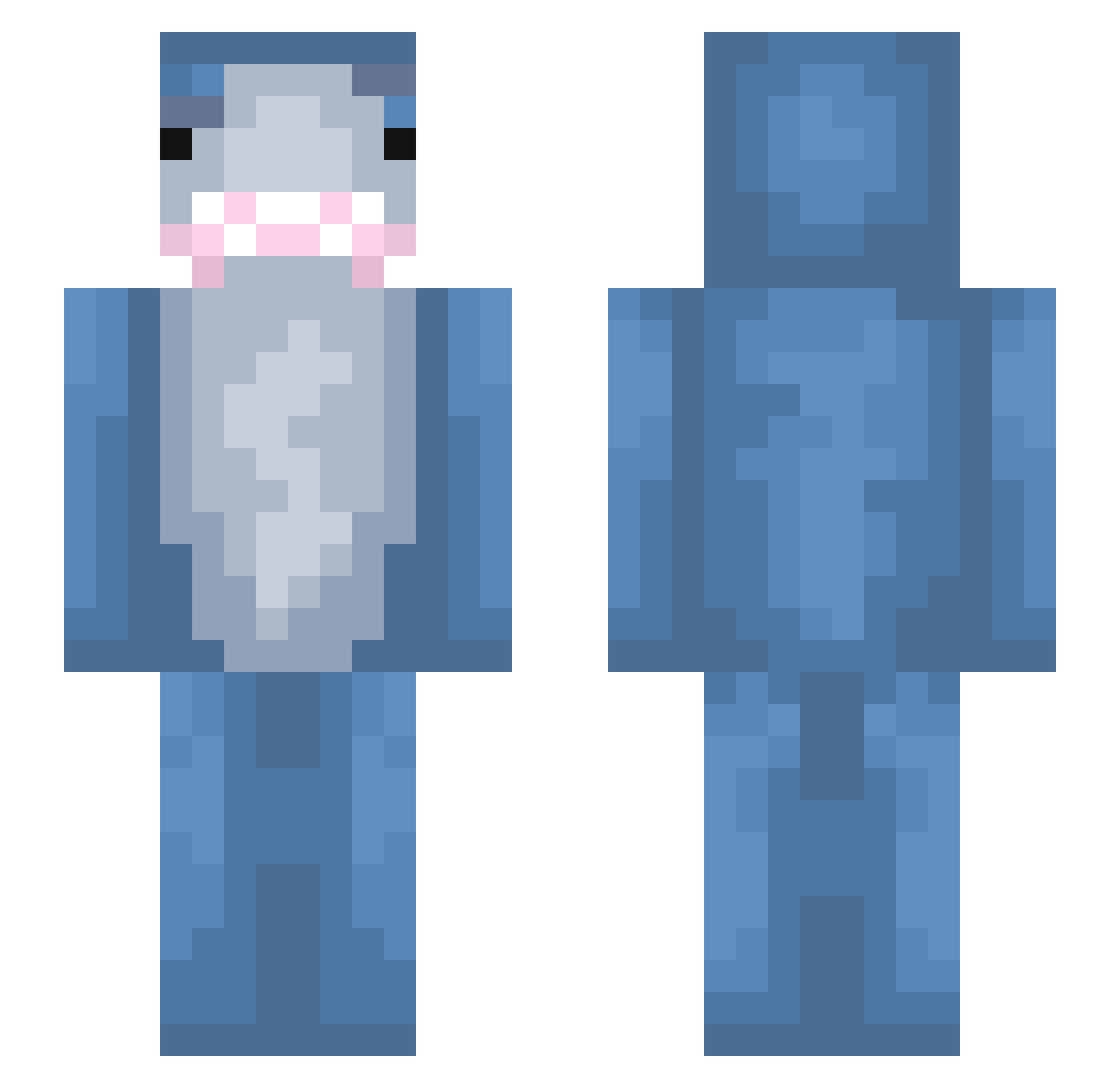 Tillsson Minecraft skin, front and back view