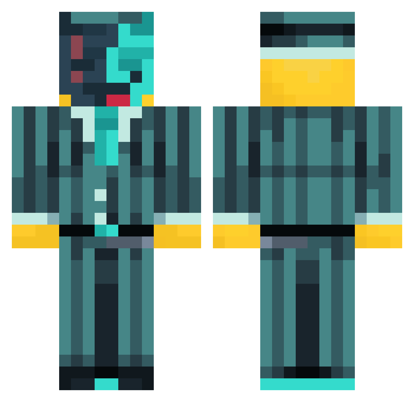 ReChemix Minecraft skin, front and back view
