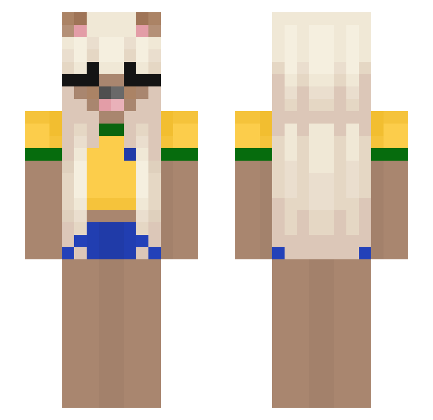 catsuup Minecraft skin, front and back view