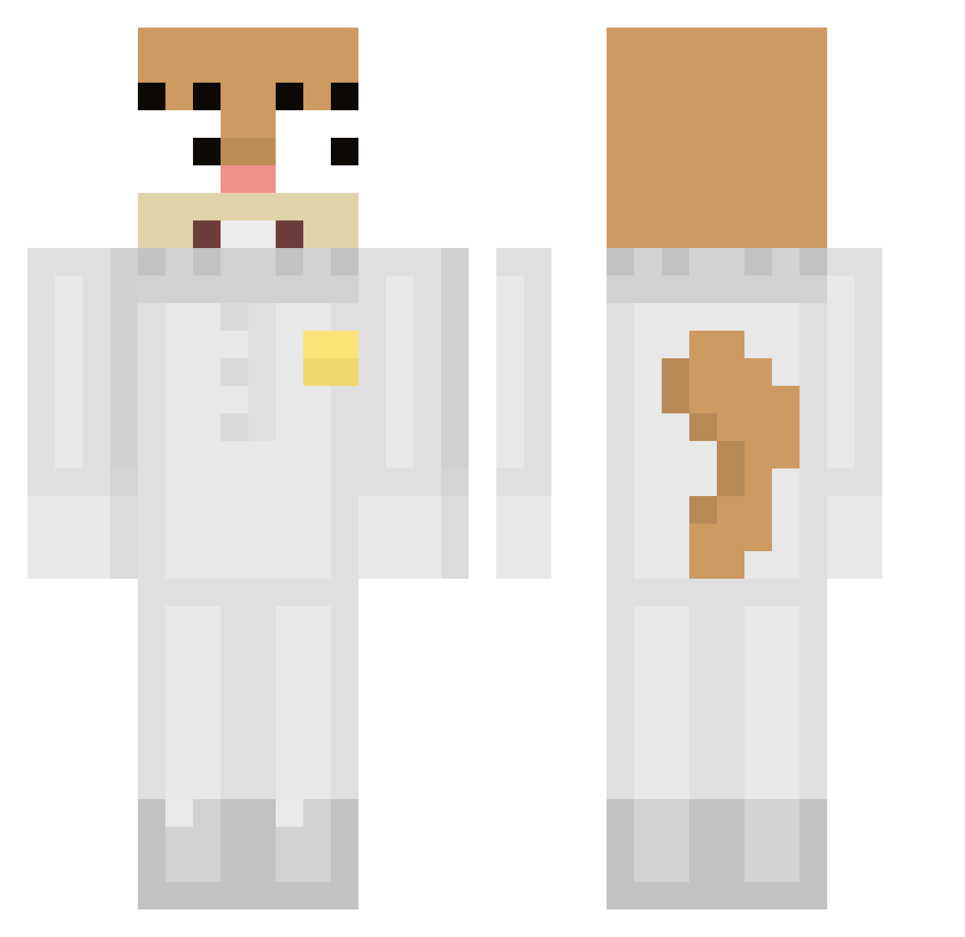 0223_ Minecraft skin, front and back view