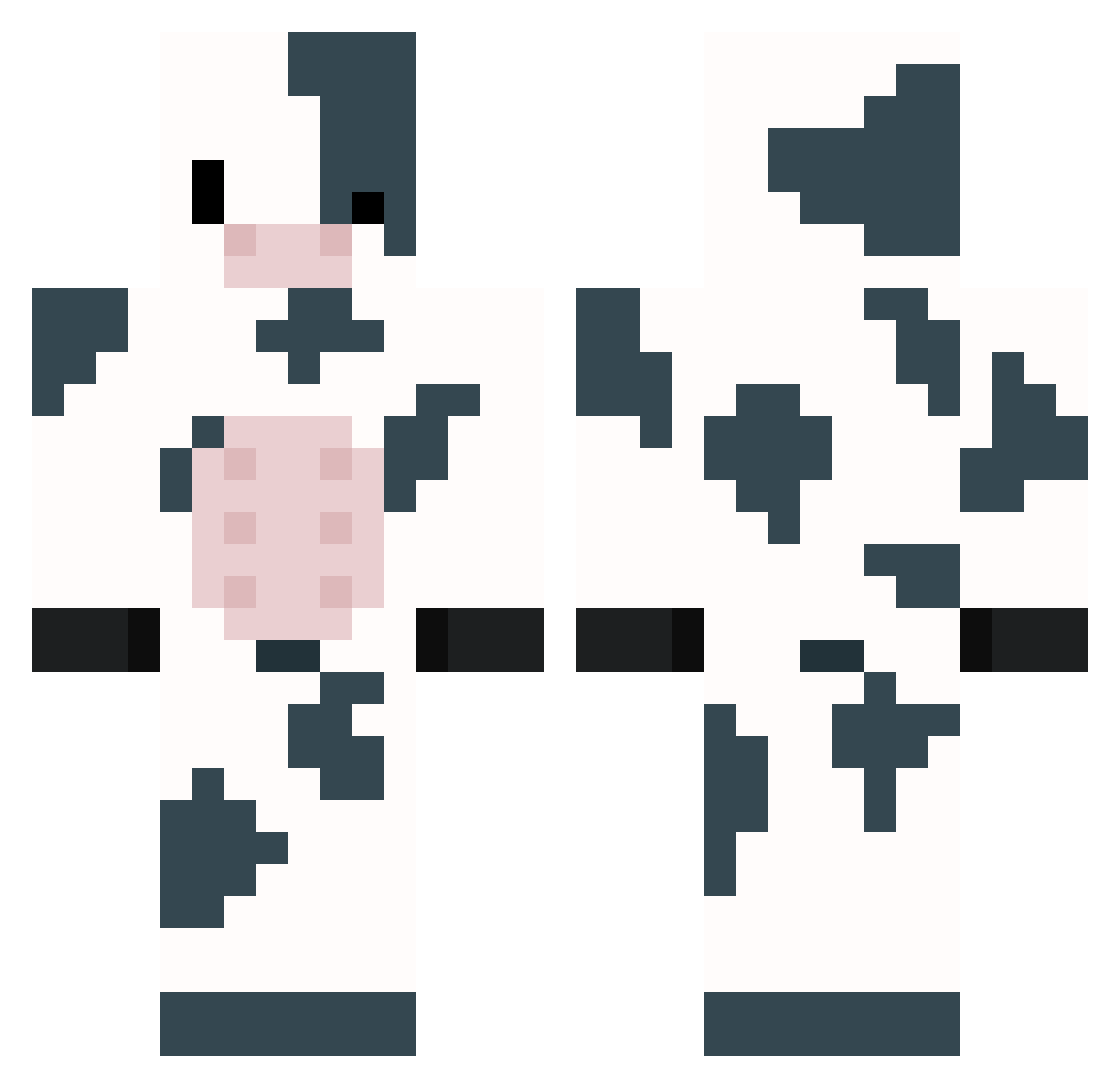 Raplo Minecraft skin, front and back view