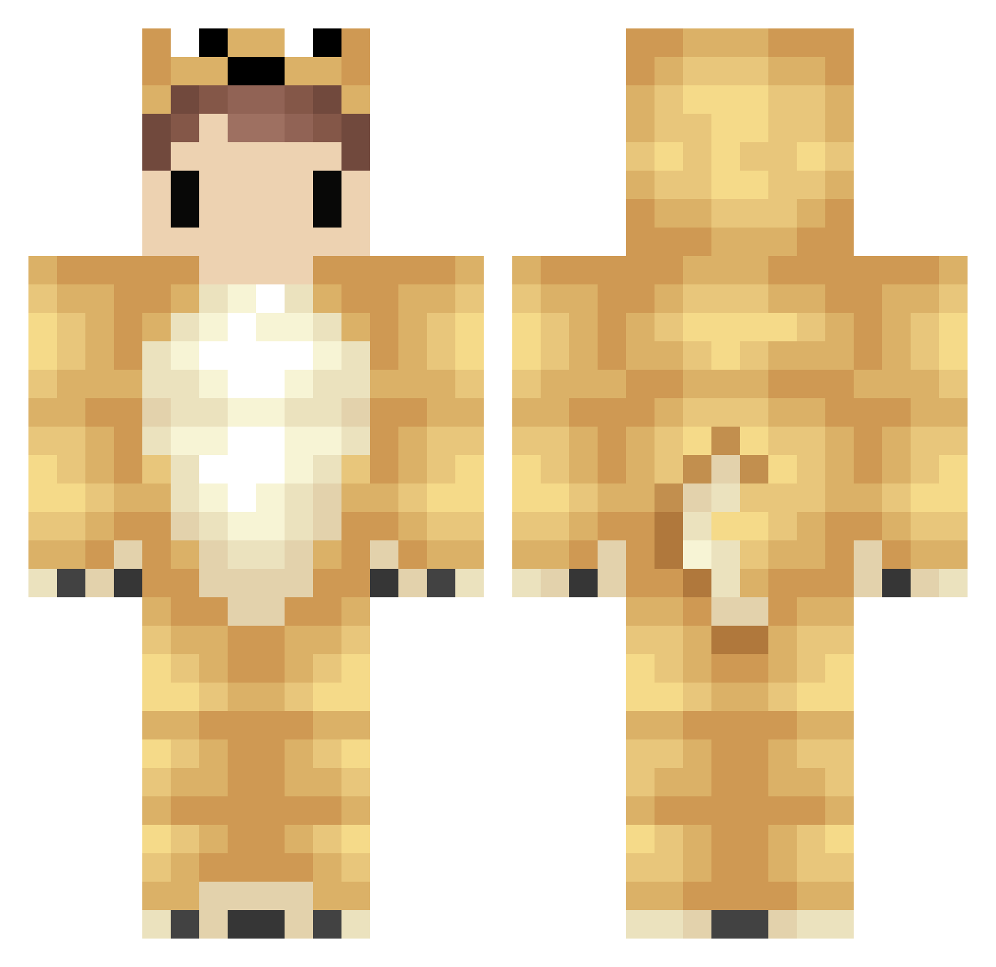 Embarrass Minecraft skin, front and back view