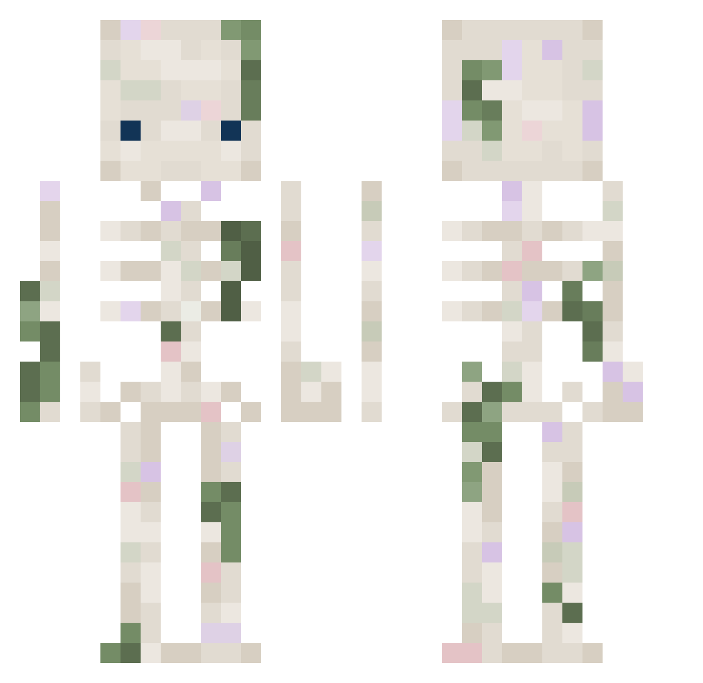 thesilly101 Minecraft skin, front and back view