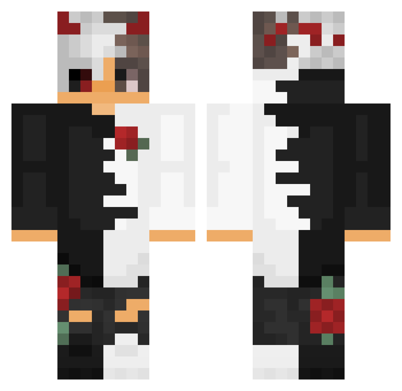 pedroluiz2005 Minecraft skin, front and back view