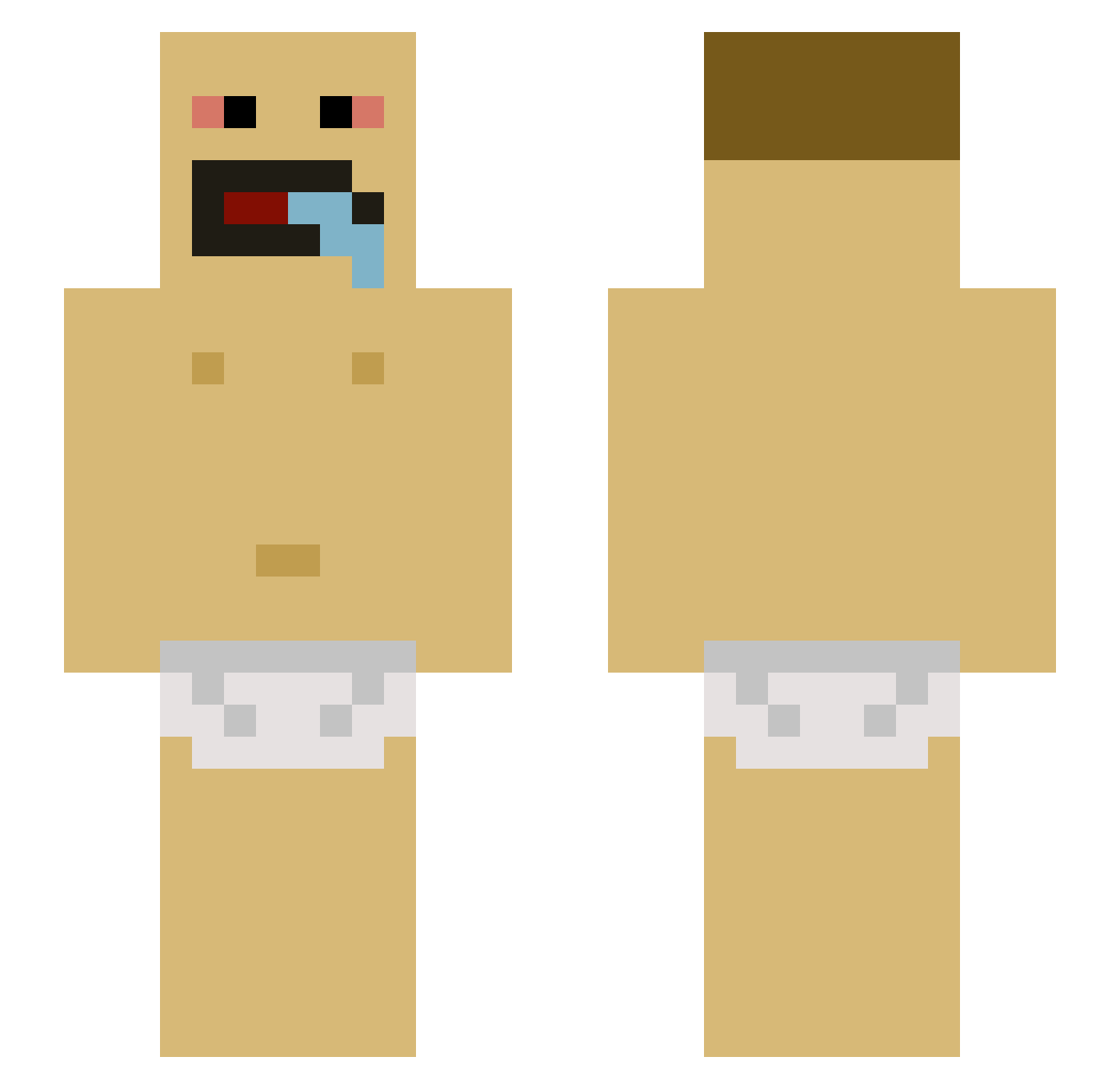 DaChaser11 Minecraft skin, front and back view
