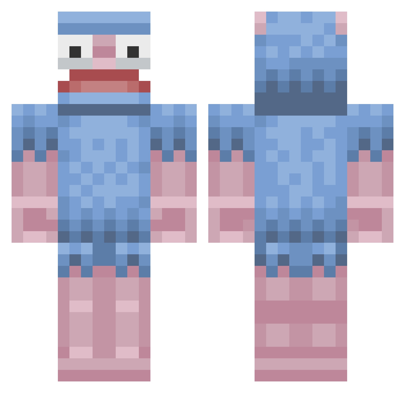 Reluctivity Minecraft skin, front and back view