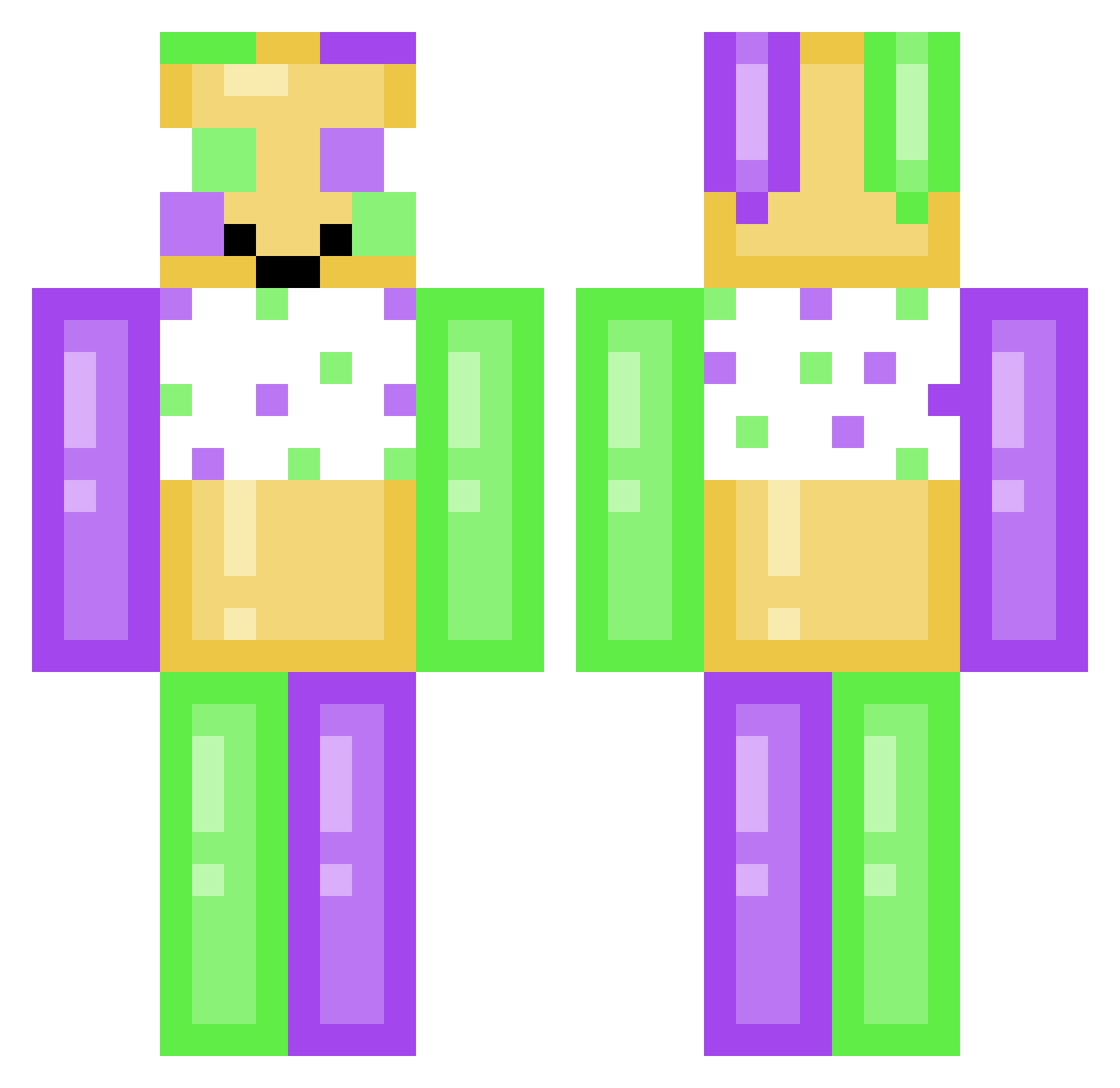 Terky_ Minecraft skin, front and back view