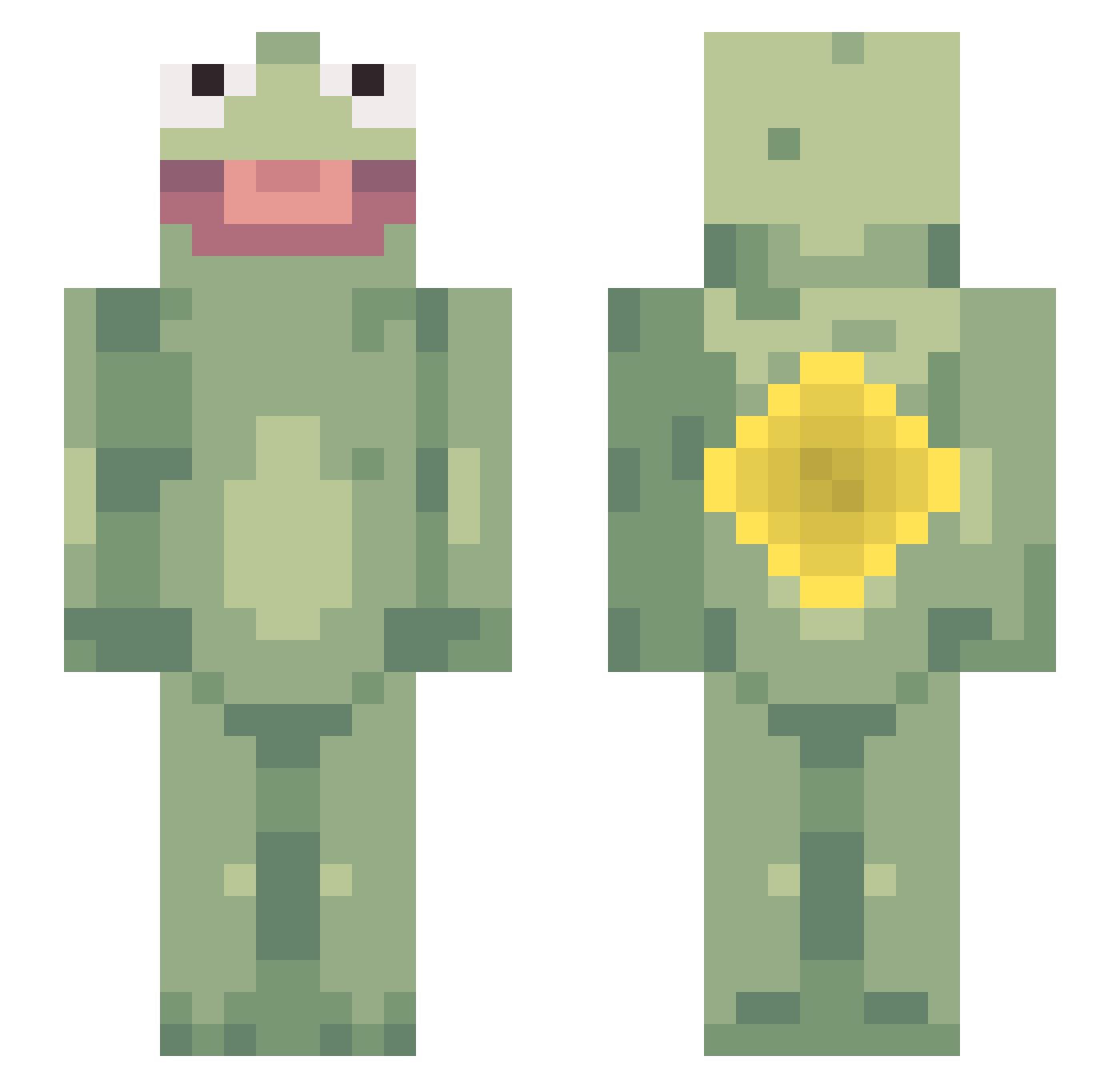 Schuschkrroete Minecraft skin, front and back view