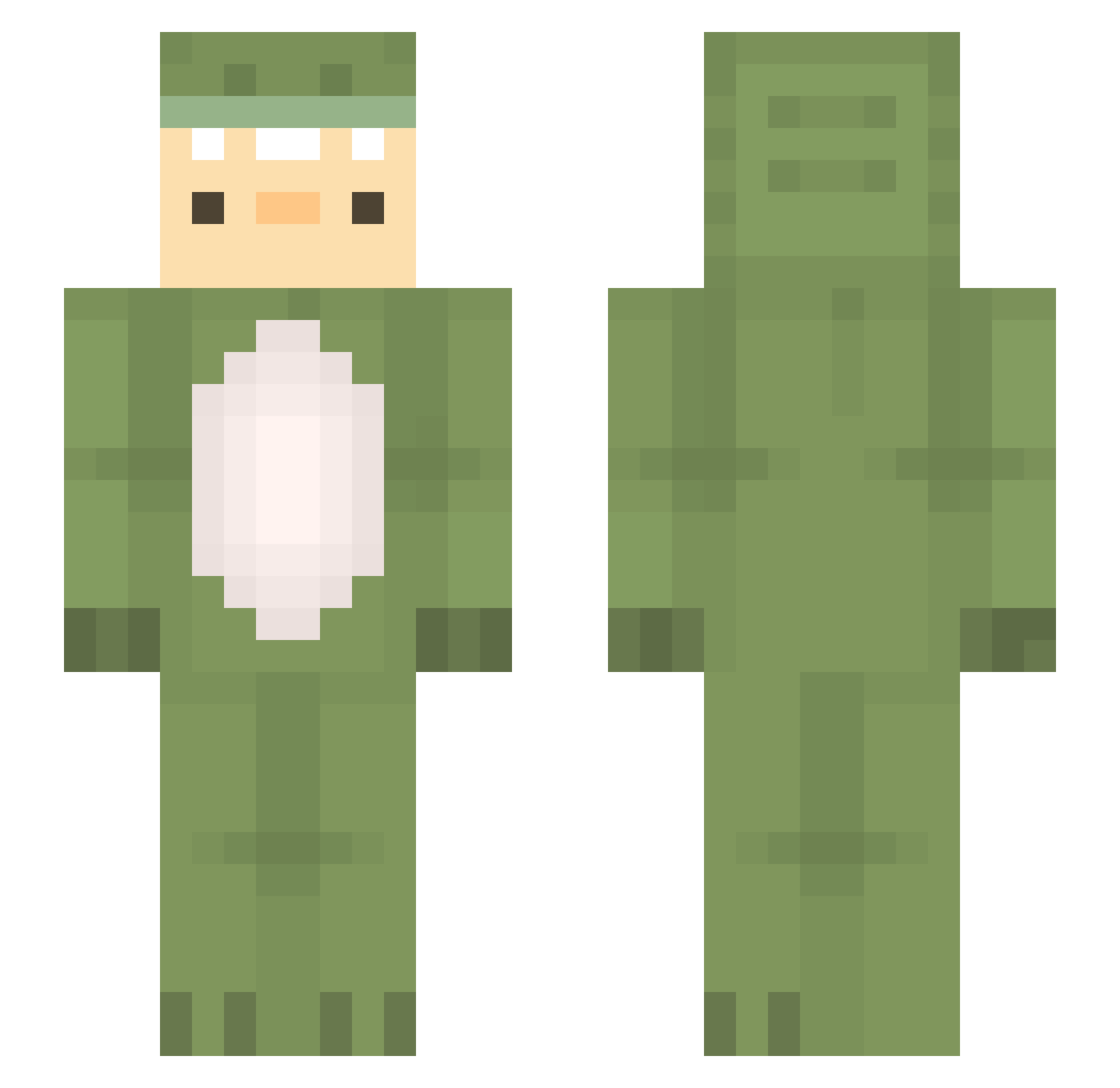 T3_T3 Minecraft skin, front and back view