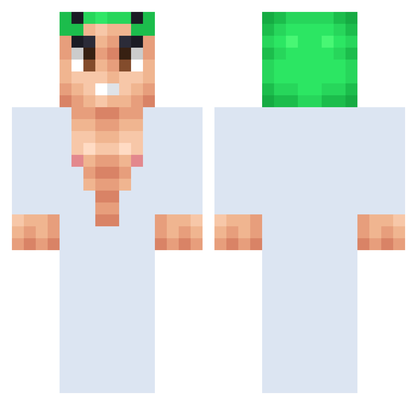 remarker Minecraft skin, front and back view