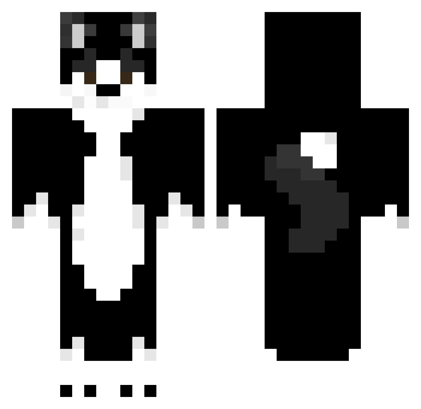 Fibit67 Minecraft skin, front and back view