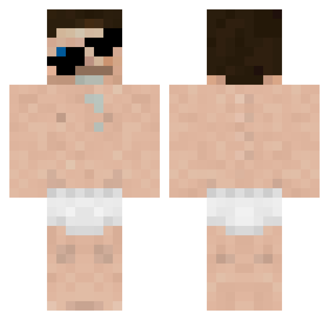 Anguilliform Minecraft skin, front and back view