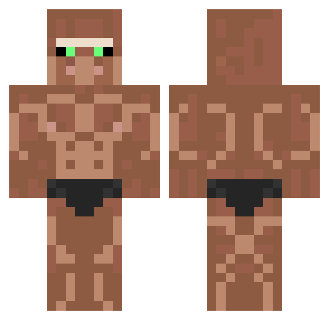 Vinopapi_ Minecraft skin, front and back view