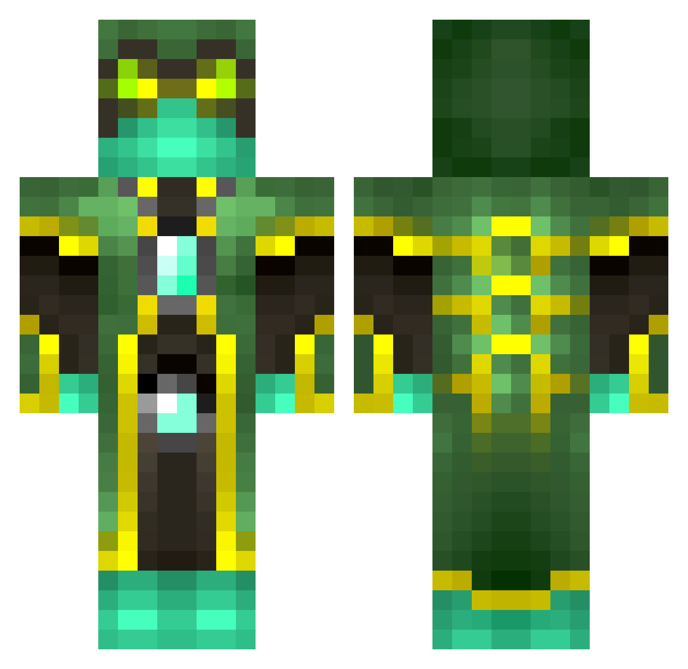 Foiorn23 Minecraft skin, front and back view