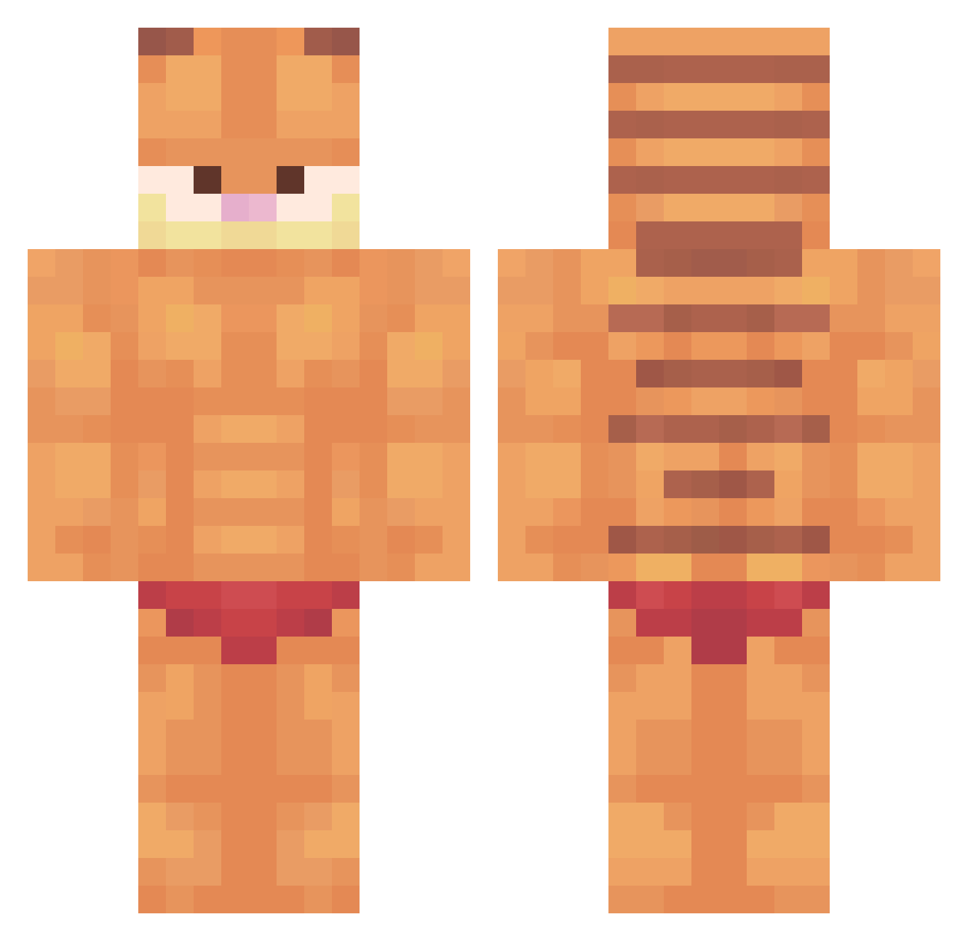 Nolomus Minecraft skin, front and back view