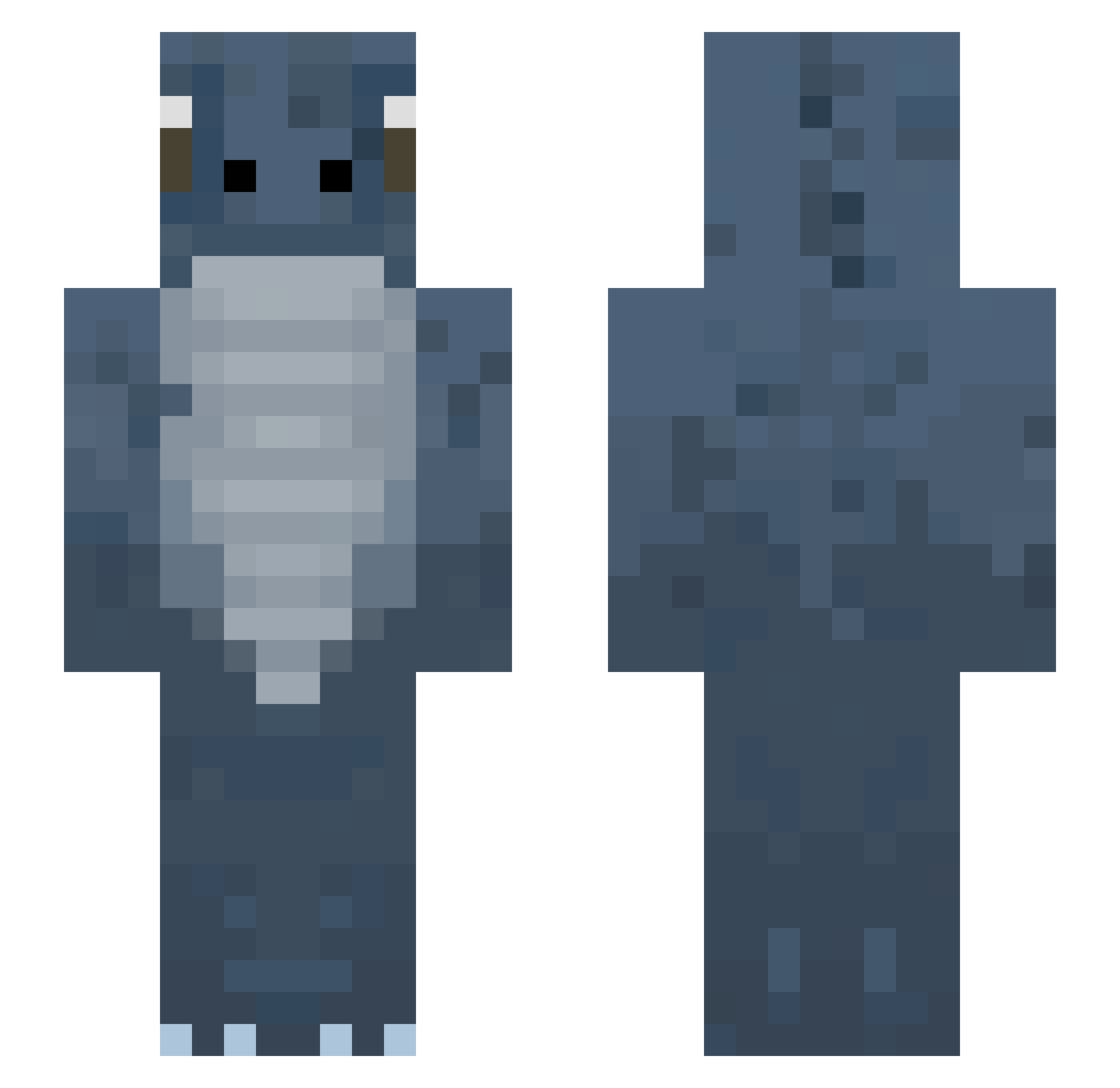 TokayGeckoLover Minecraft skin, front and back view