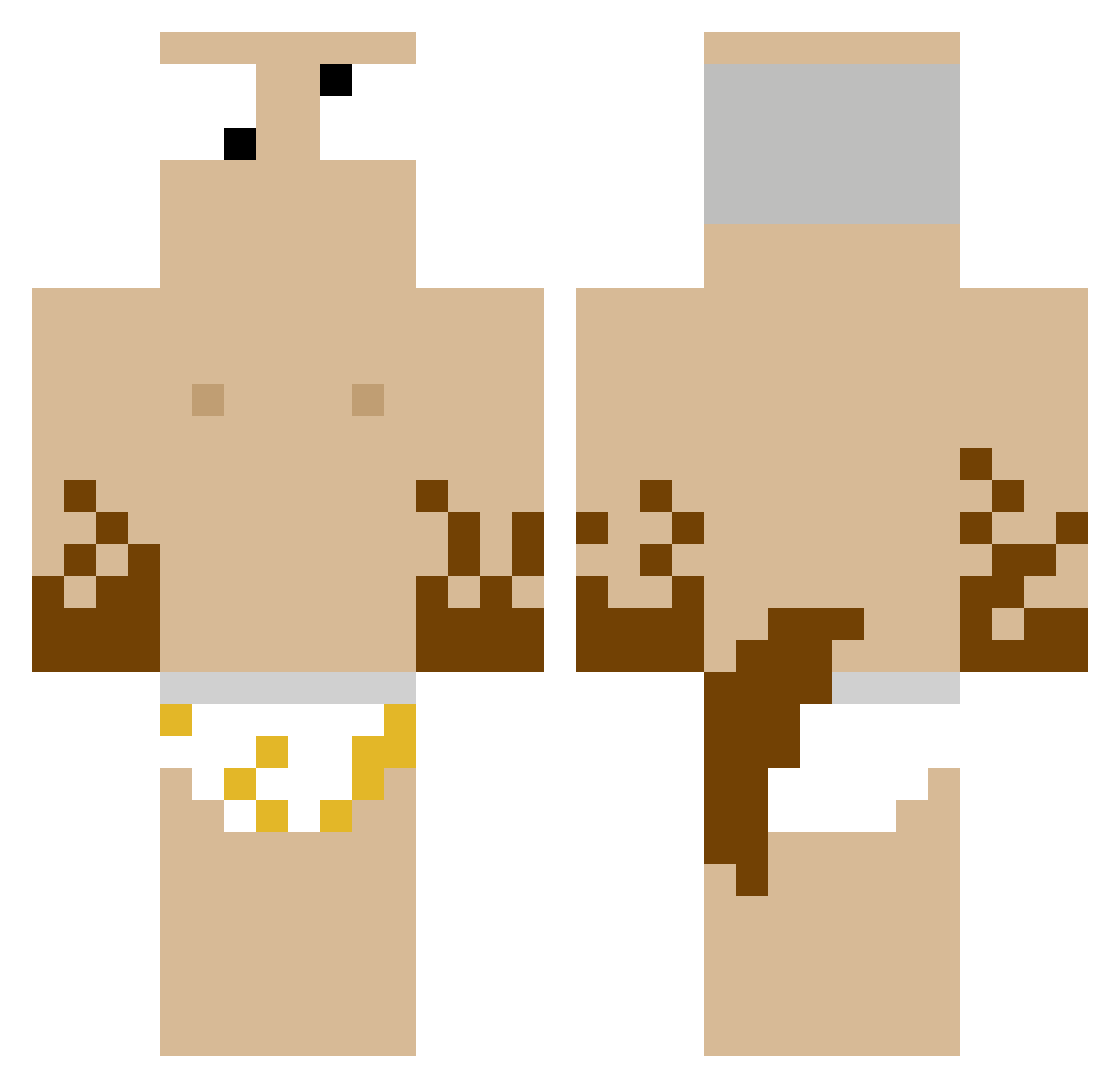 zxag Minecraft skin, front and back view