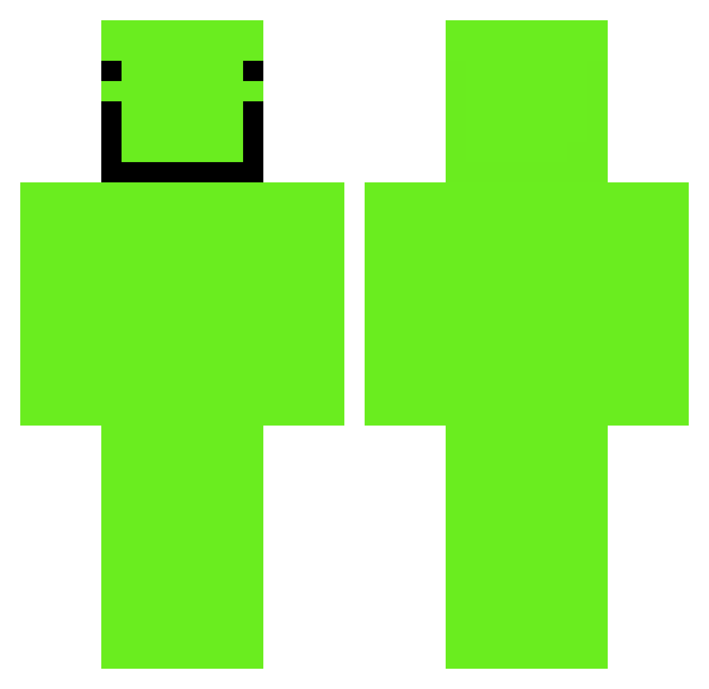 TomSG_ Minecraft skin, front and back view