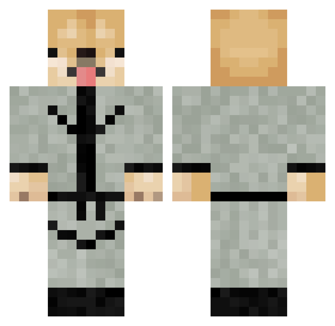 Taxsevader Minecraft skin, front and back view