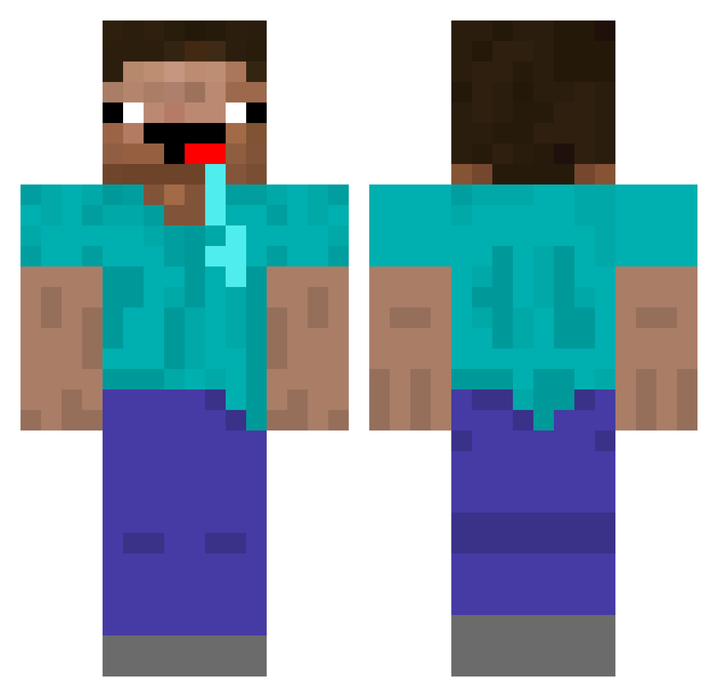 polide Minecraft skin, front and back view