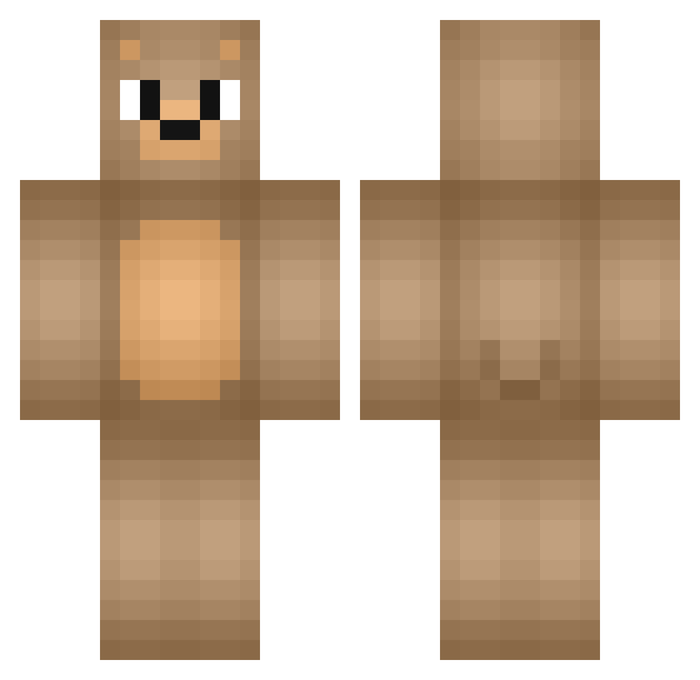 Witful Minecraft skin, front and back view