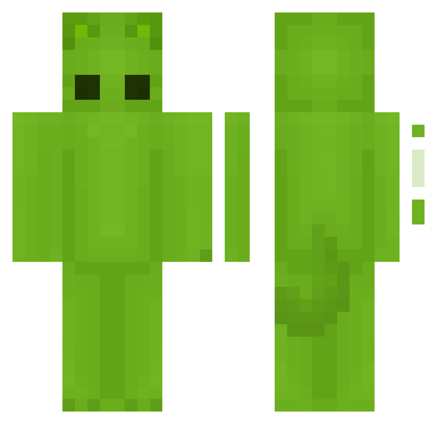 Rawr__ Minecraft skin, front and back view