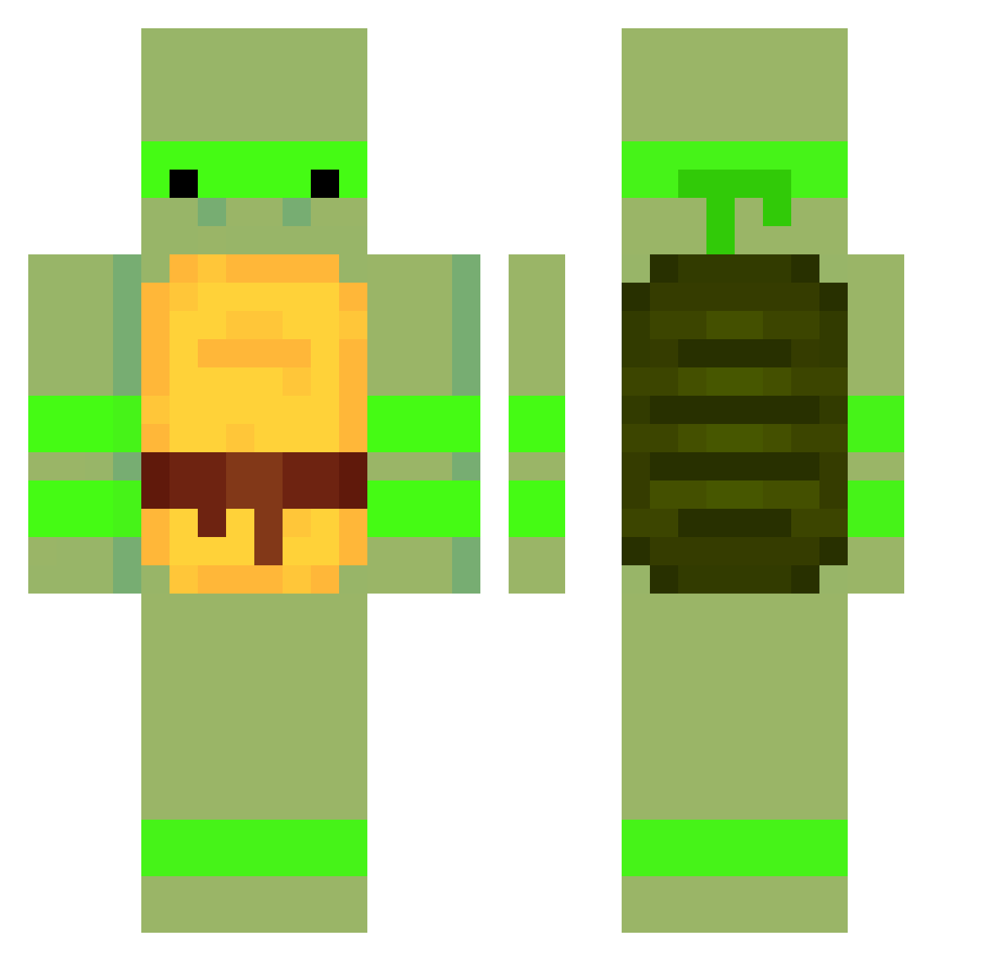 gracz1238 Minecraft skin, front and back view