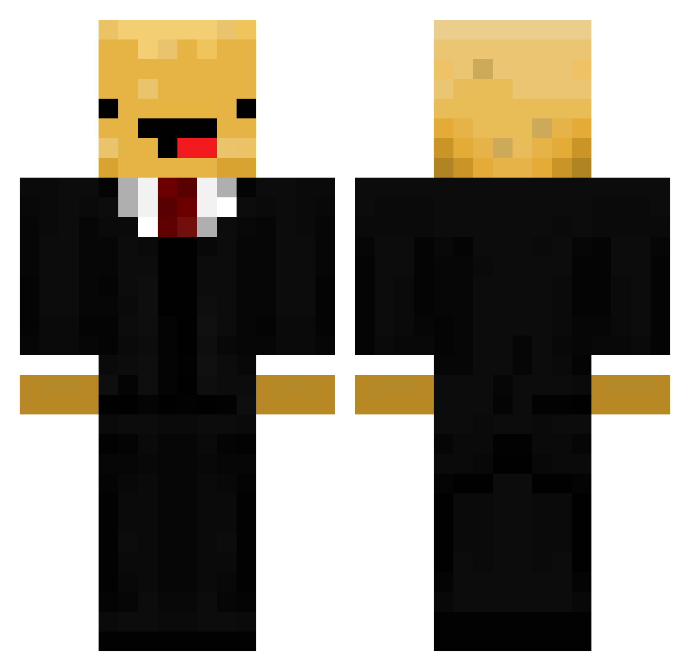 trollcraft252 Minecraft skin, front and back view