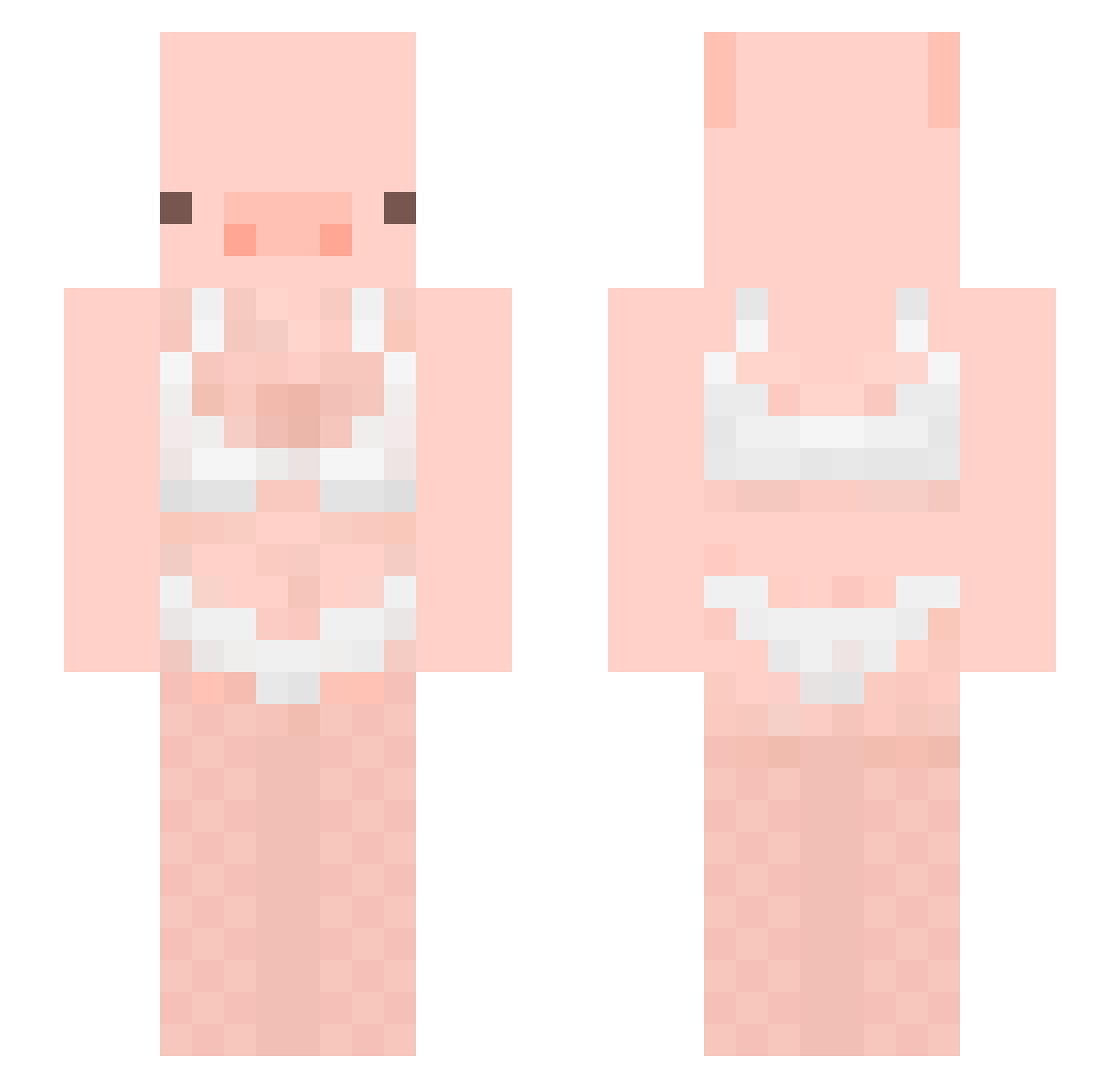 terrestrialkim Minecraft skin, front and back view