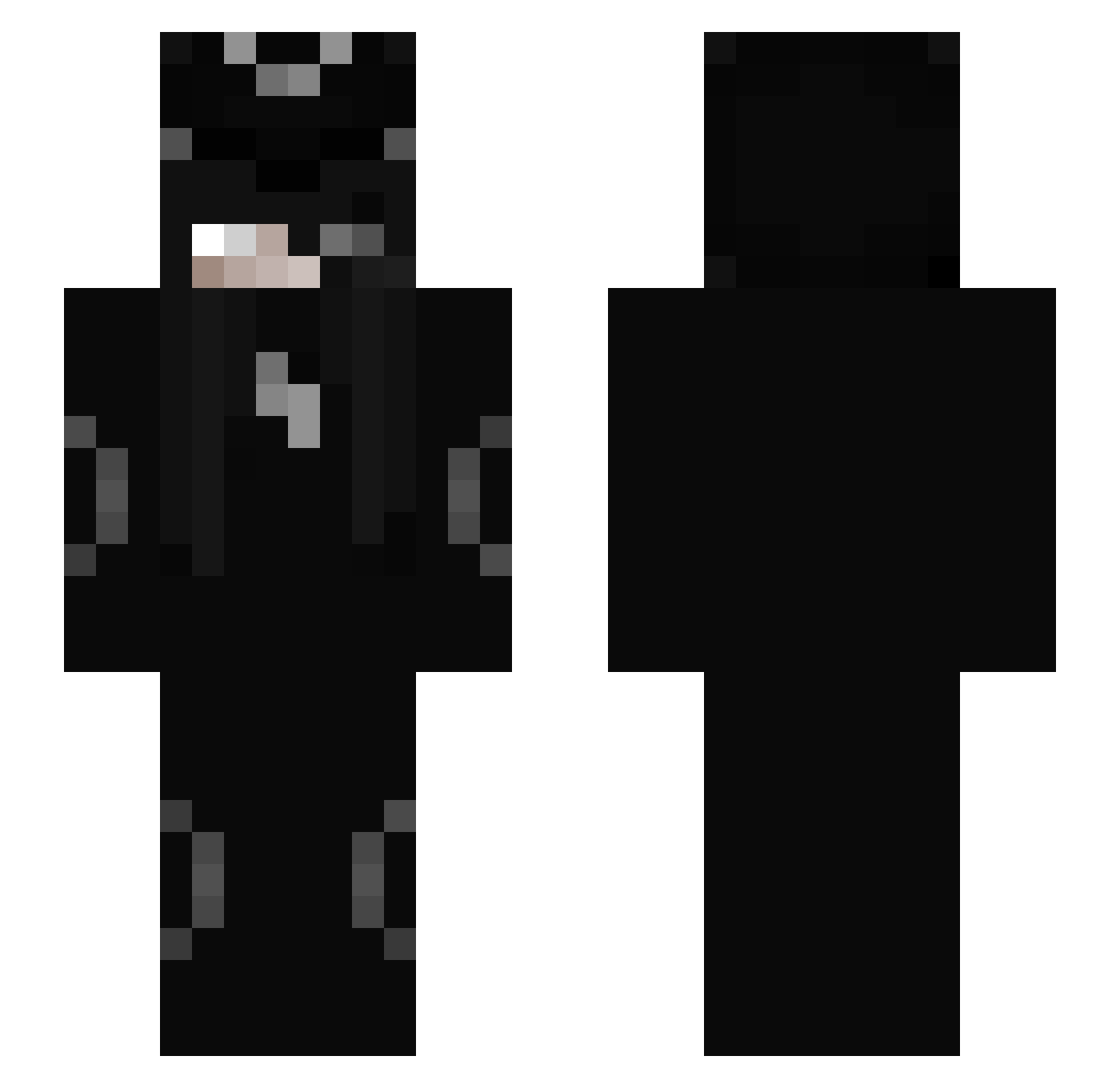 ReverseTurtle Minecraft skin, front and back view