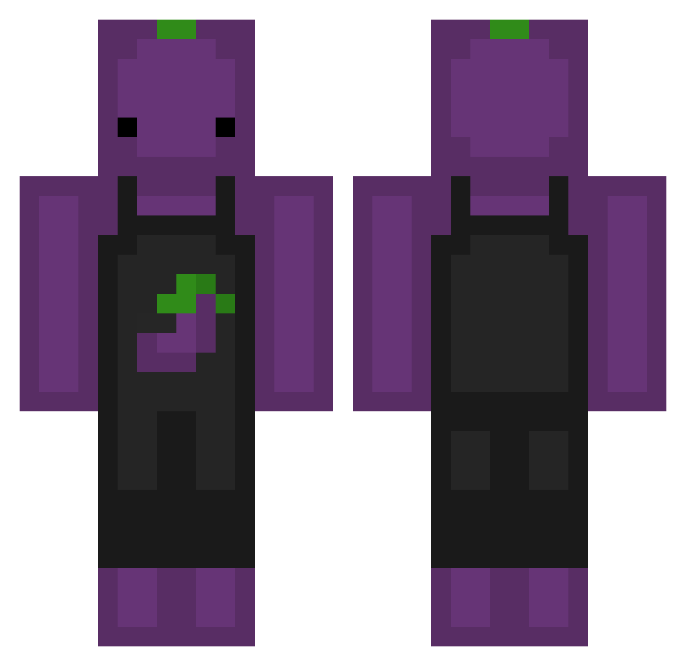 seoEXE Minecraft skin, front and back view