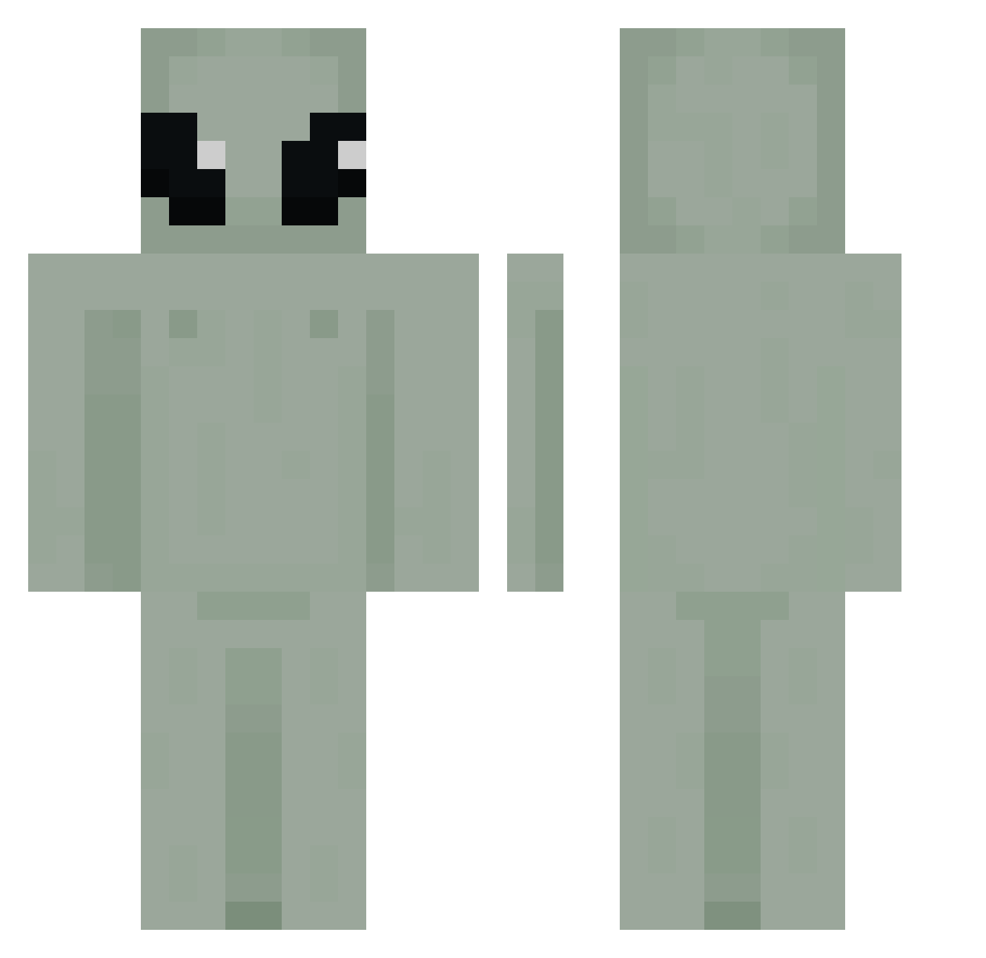 Jewed Minecraft skin, front and back view