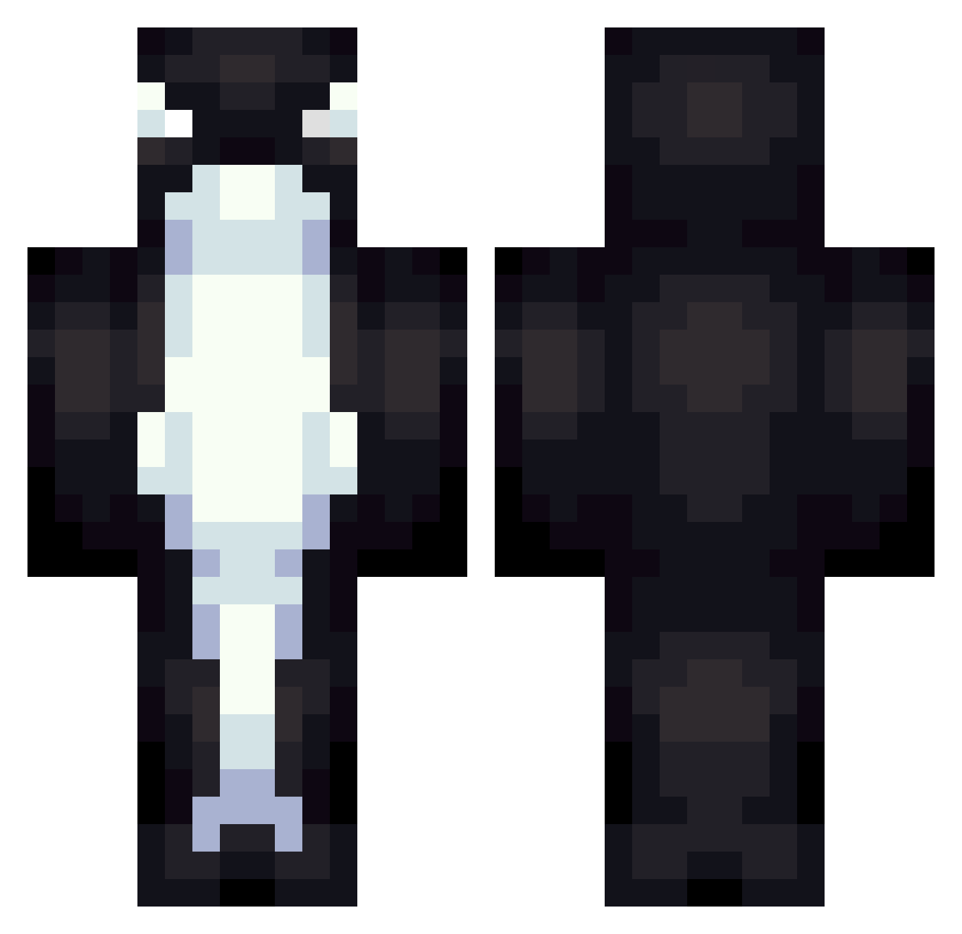 PN26 Minecraft skin, front and back view