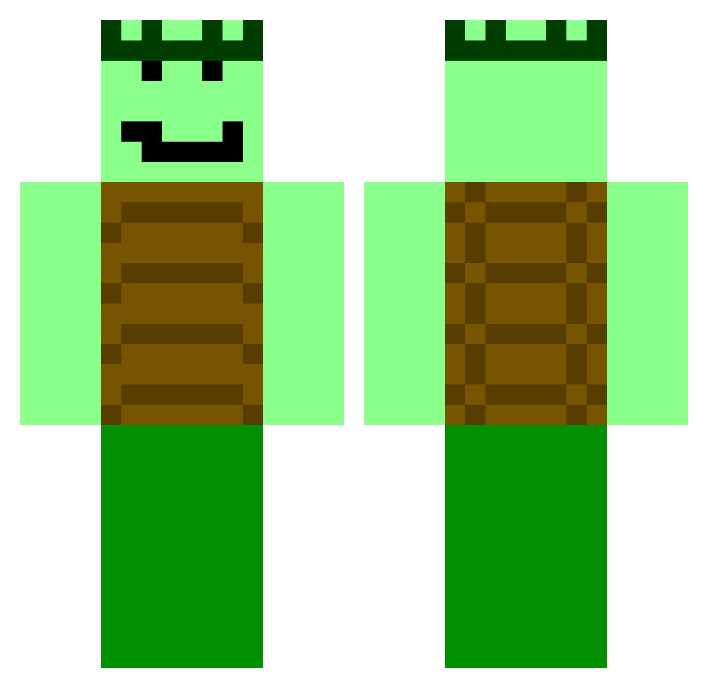TurtleBoyoIsCool Minecraft skin, front and back view