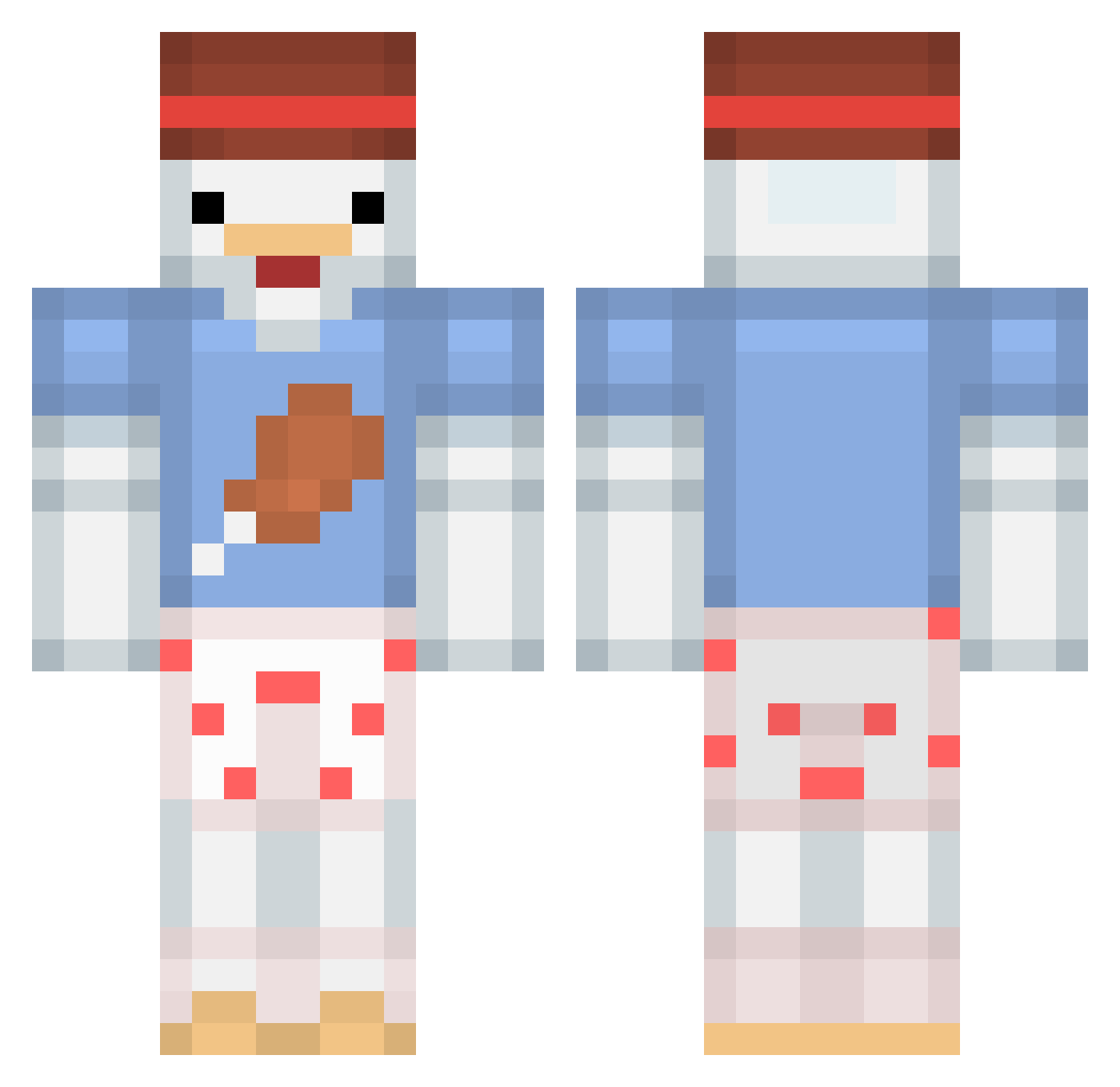 Polloh Minecraft skin, front and back view