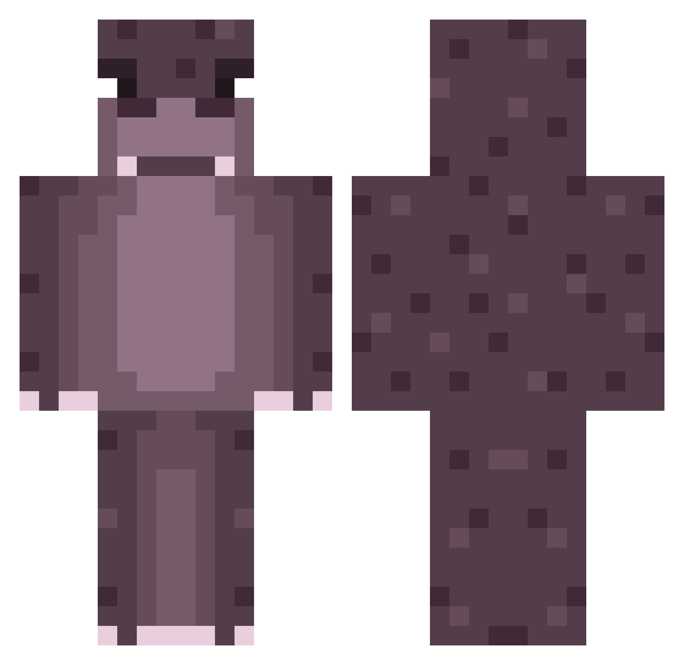 Beeman999 Minecraft skin, front and back view