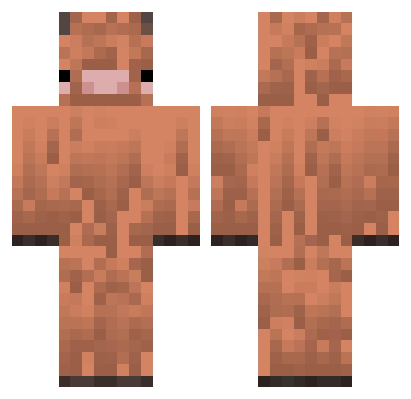 Eclispa Minecraft skin, front and back view