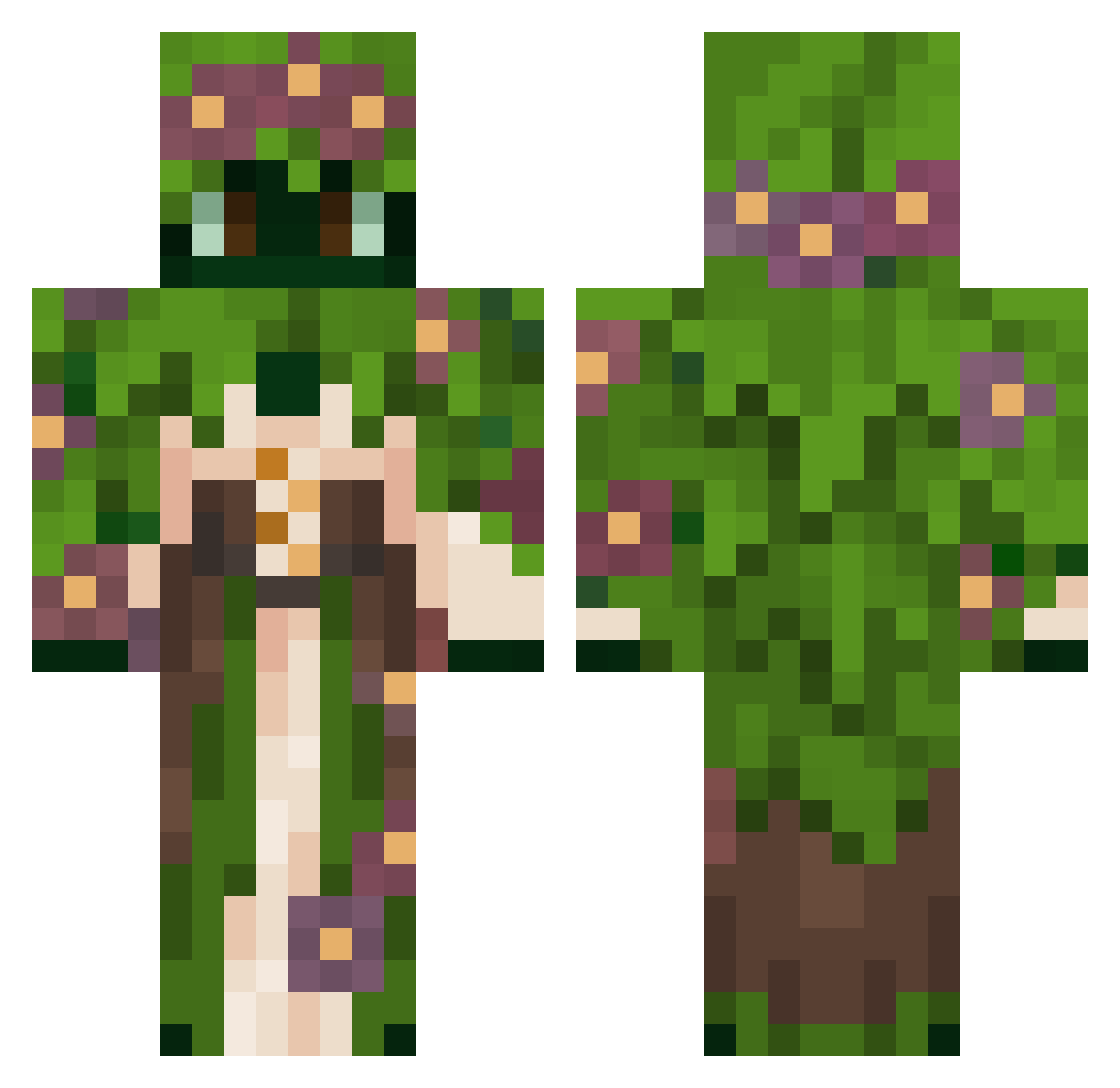 Sanelski Minecraft skin, front and back view