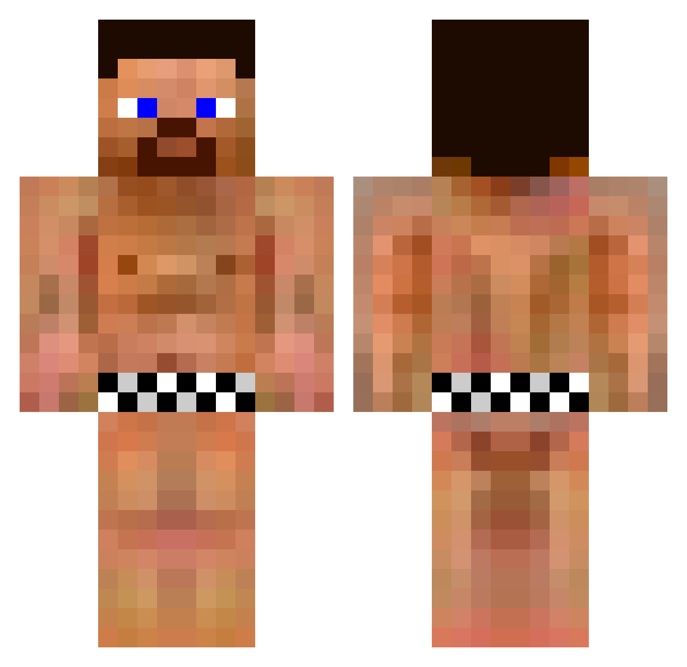 cdsq Minecraft skin, front and back view