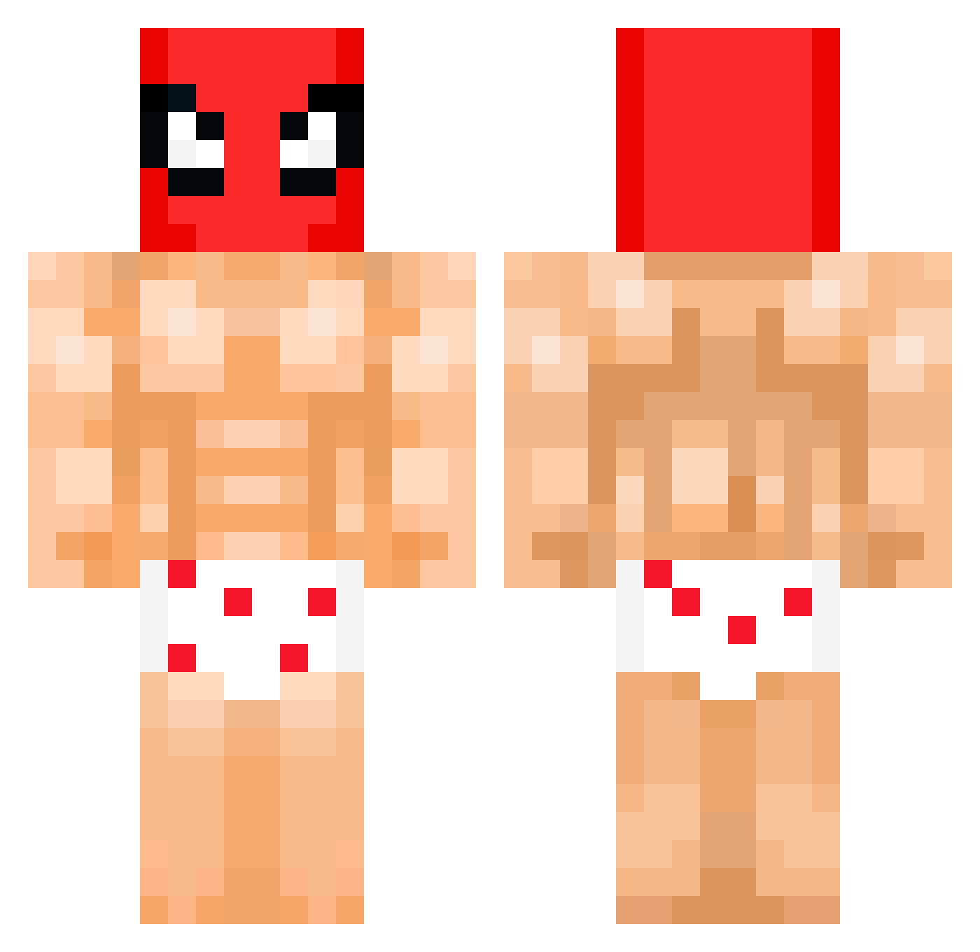 TgecoL Minecraft skin, front and back view