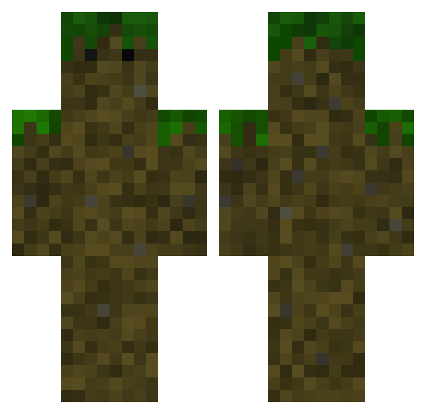 DisturbedH3 Minecraft skin, front and back view