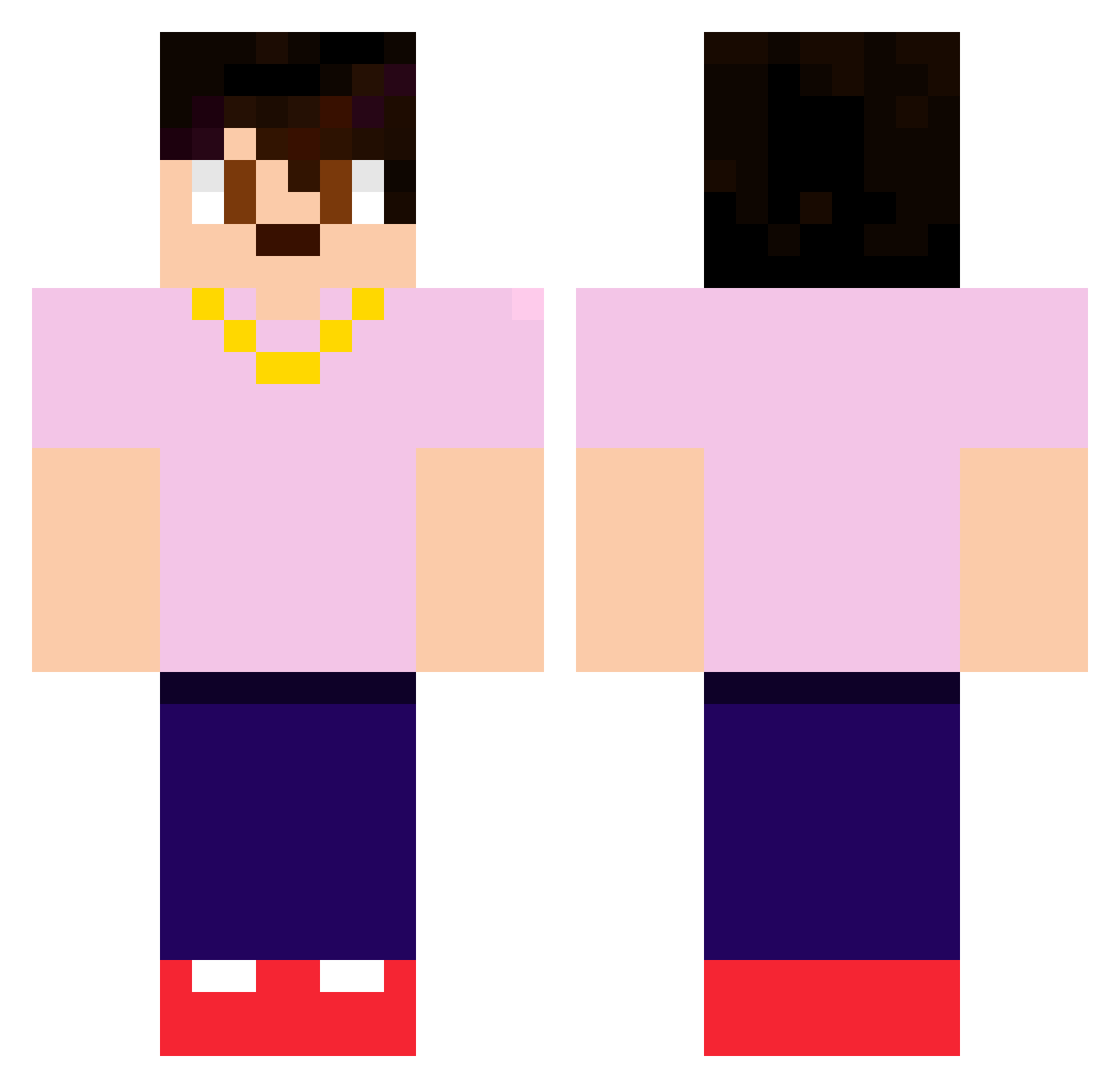 SillyTechStuff Minecraft skin, front and back view