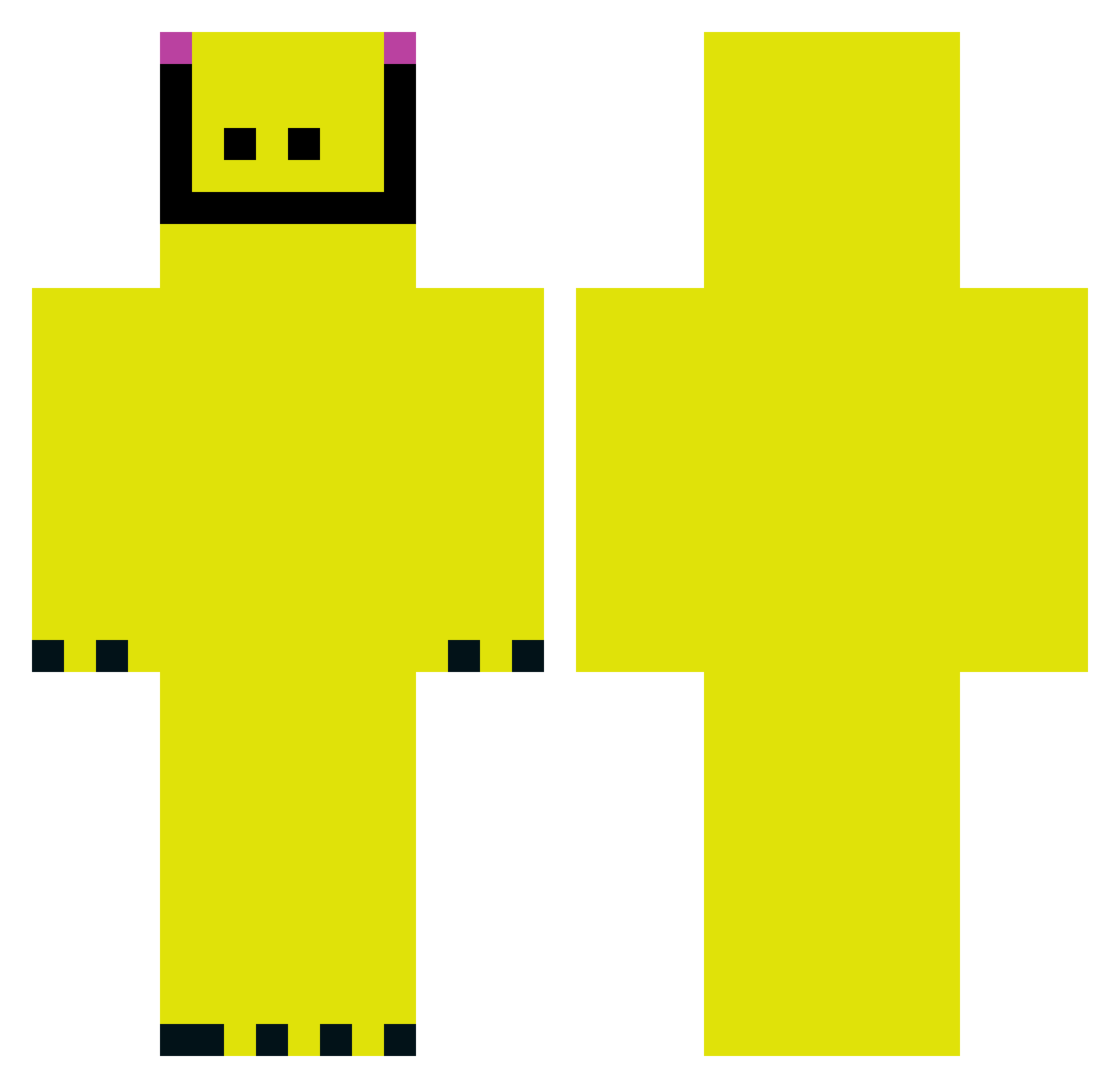 bottg Minecraft skin, front and back view