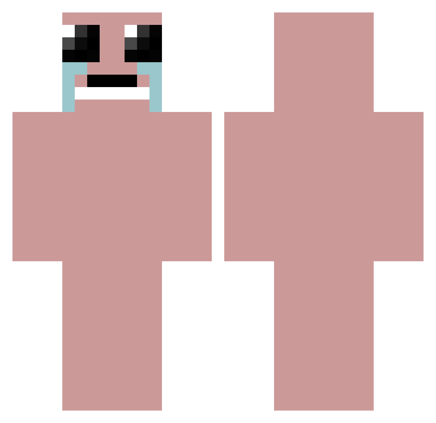 agehrig1110 Minecraft skin, front and back view