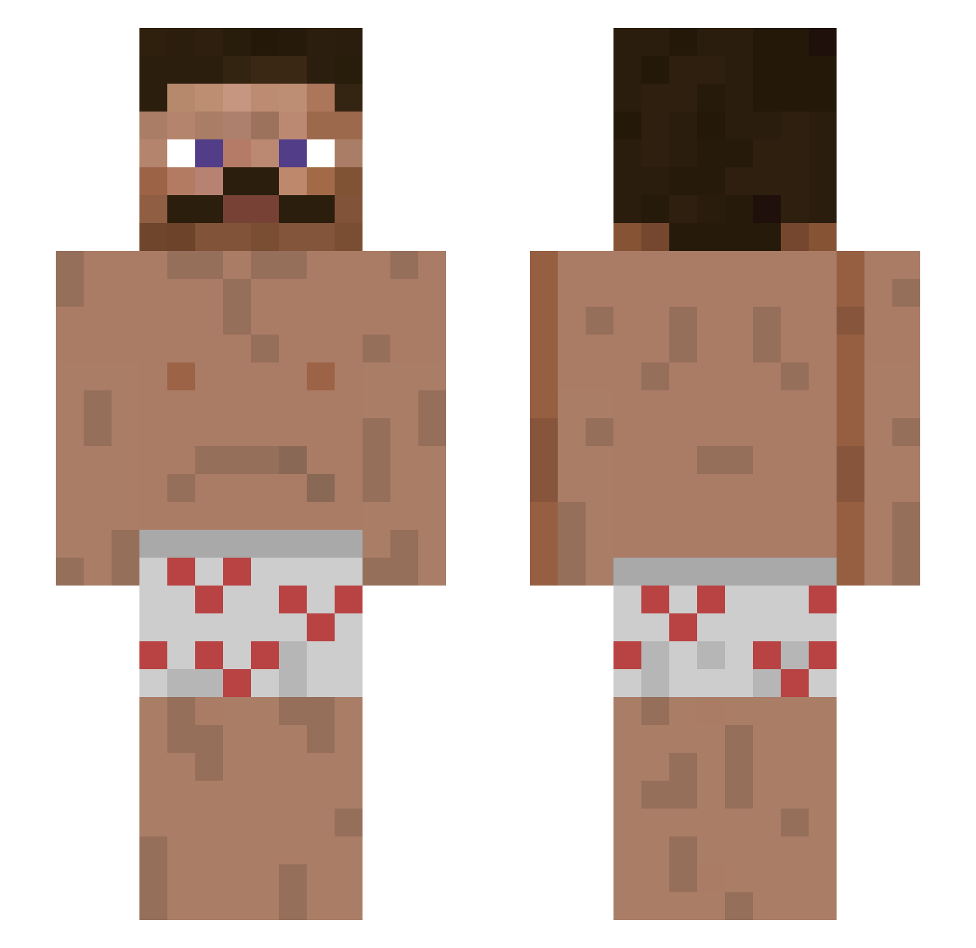 puffer17fish Minecraft skin, front and back view