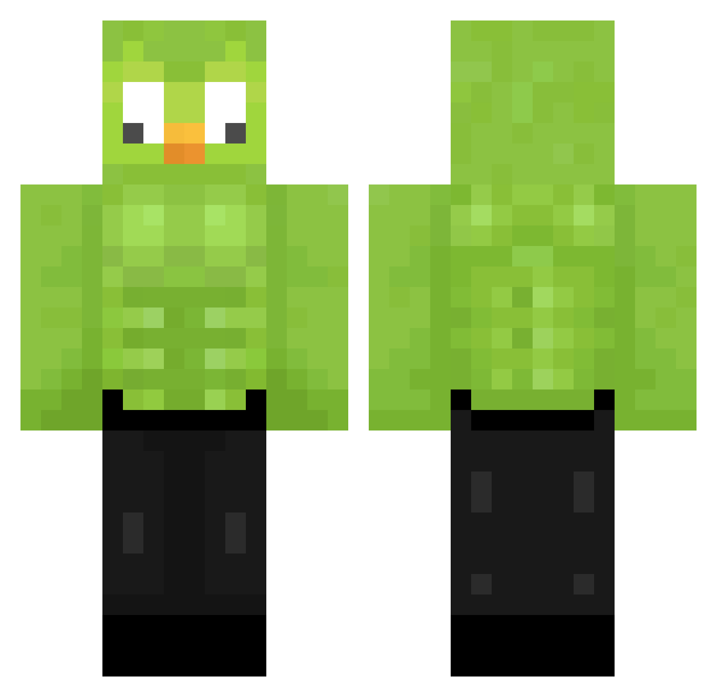 Nokaari__ Minecraft skin, front and back view