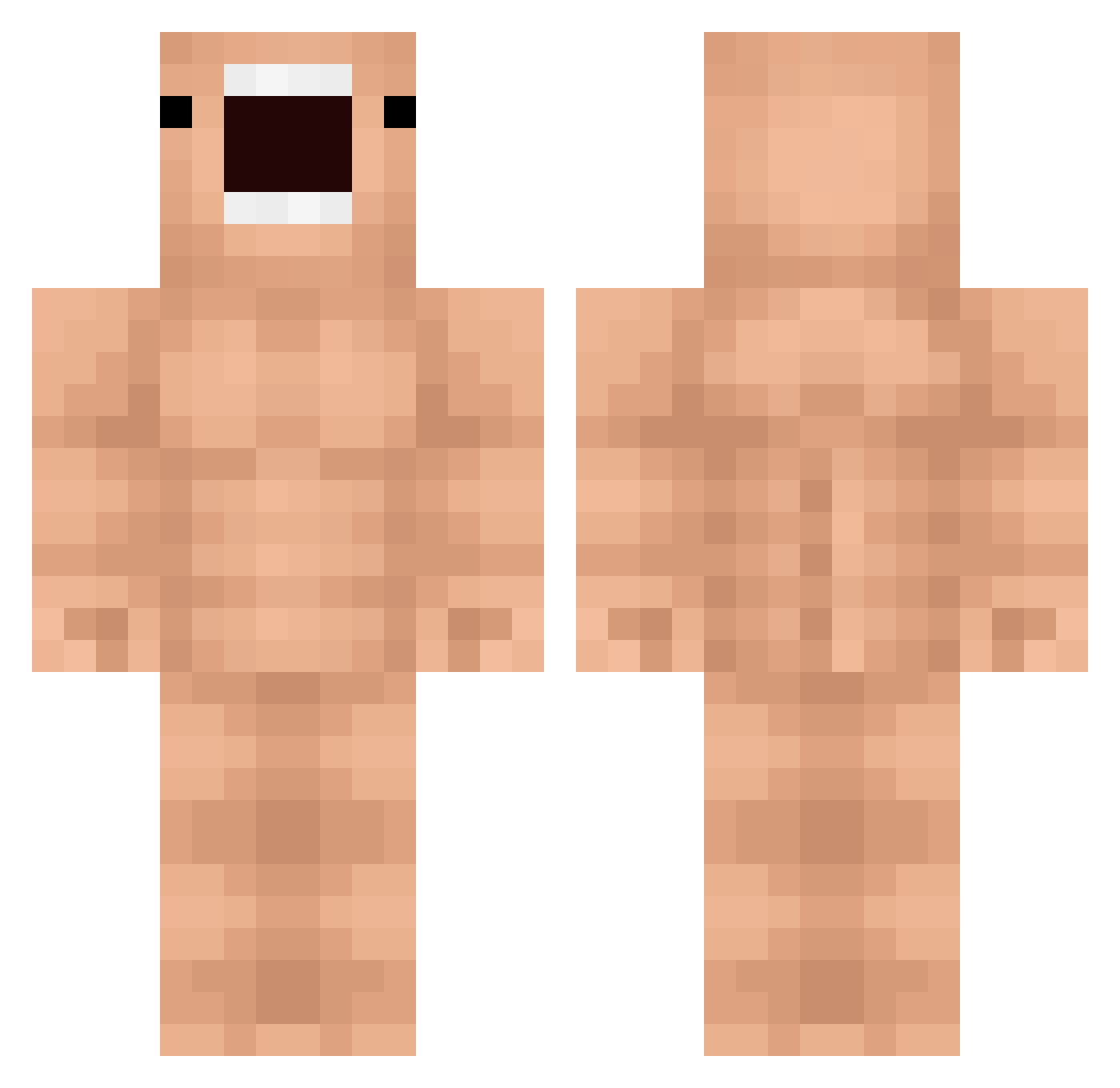 Hectortilla25 Minecraft skin, front and back view