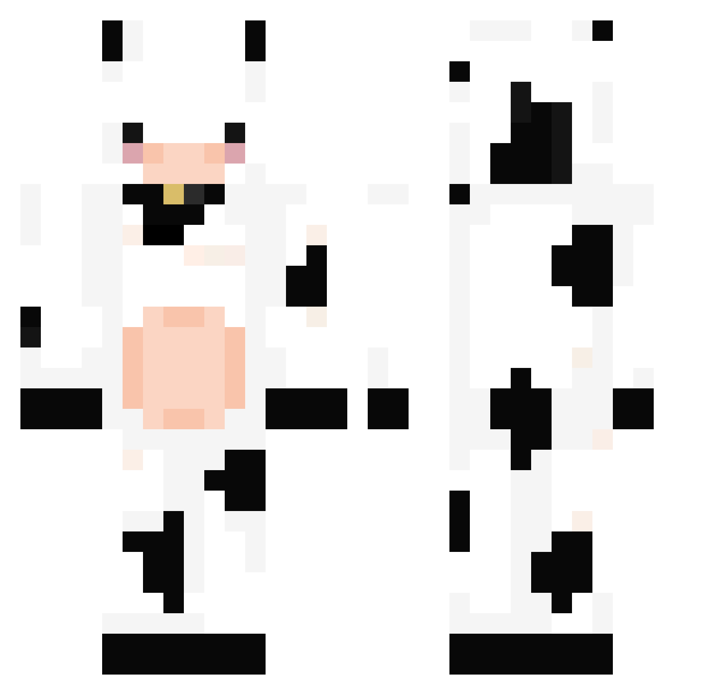 NoriPro Minecraft skin, front and back view